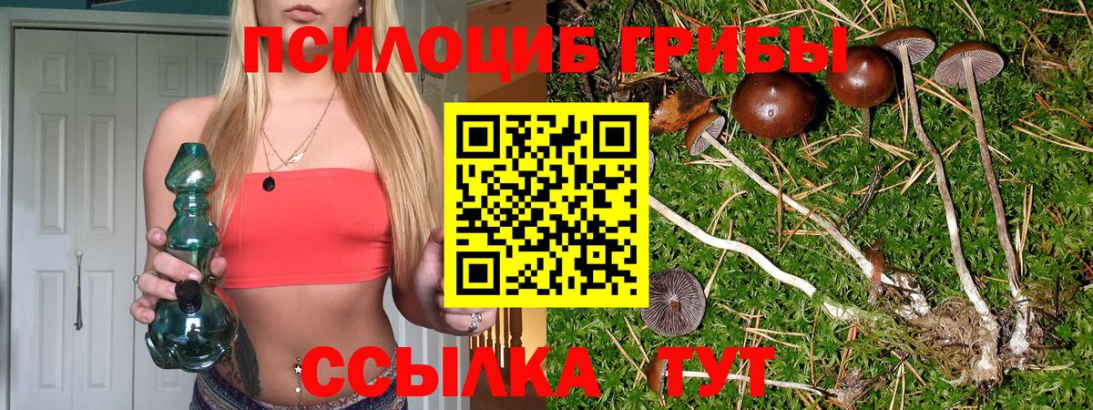 что такое   Псилоцибиновые грибы ЛСД  Спасск-Дальний  Вход с VPN  Псилоцибиновые грибы Psilocybine cubensis 