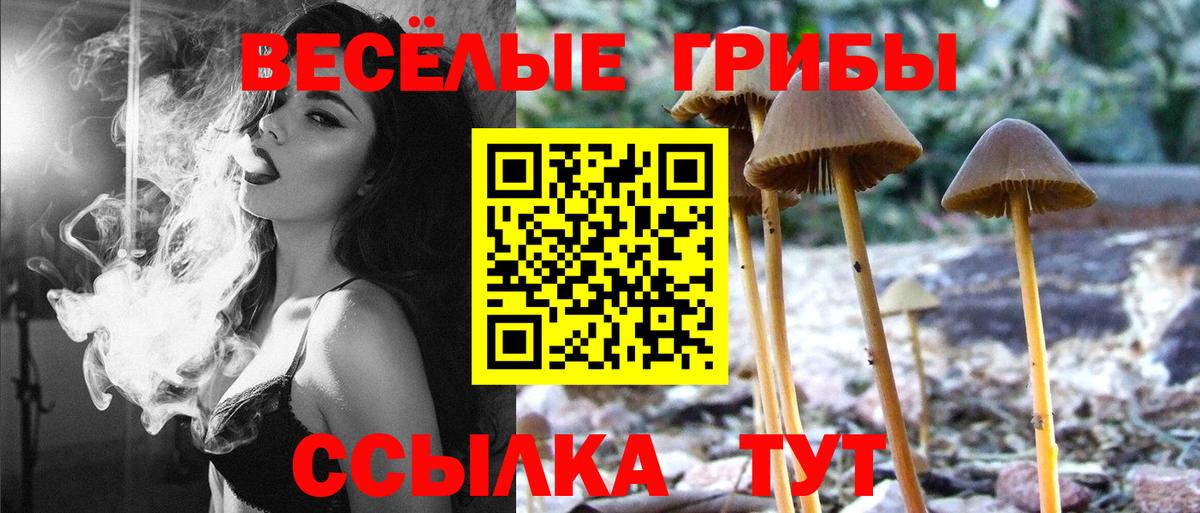 Галлюциногенные грибы мухоморы Спасск-Дальний